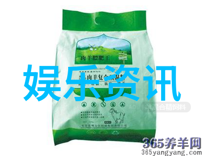 记忆编织机家庭历史与传承在家庭攝像中的记录