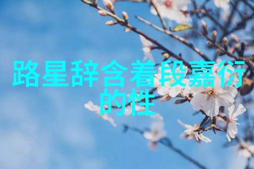 极限挑战 综艺中的激情与疯狂探索人类极限的奇迹之旅