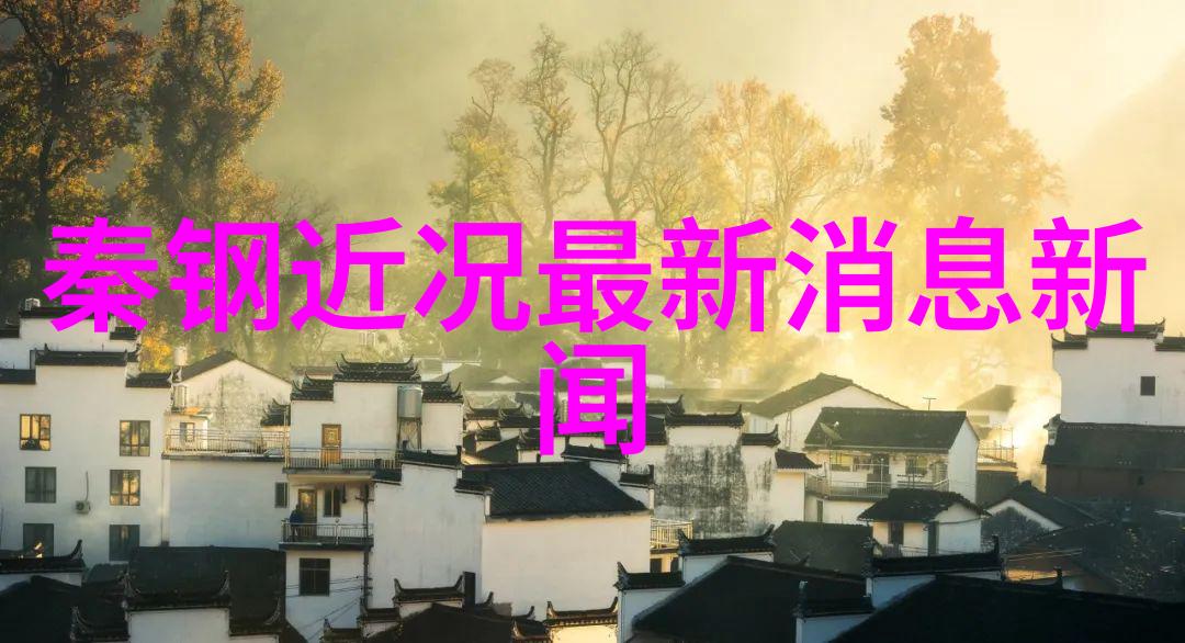 探索写真的艺术之谜揭秘真实与美学之间的边界
