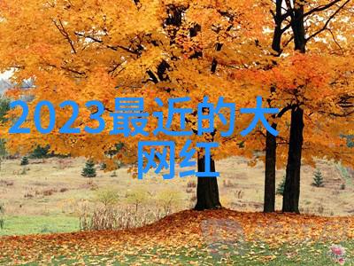 北高完美落幕萧秉治以最爱的可乐塔庆功而这场Project X Live Tour 巡回演唱会却让经典