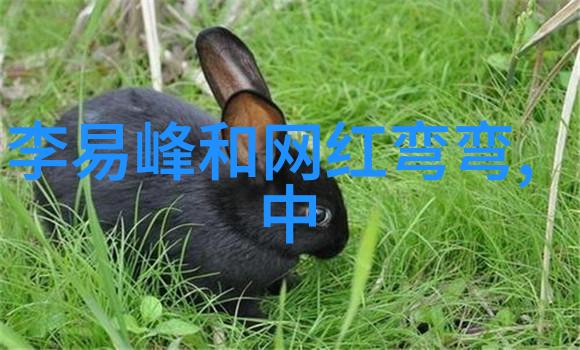 图像世界智慧海洋 百度如何利用AI提升图片搜索体验