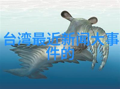 清洁魔法展现家务优等生综艺展示了什么样的厨房烹饪技巧