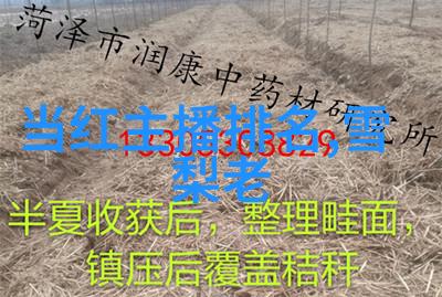 八卦我是怎么知道的八卦五行的真相