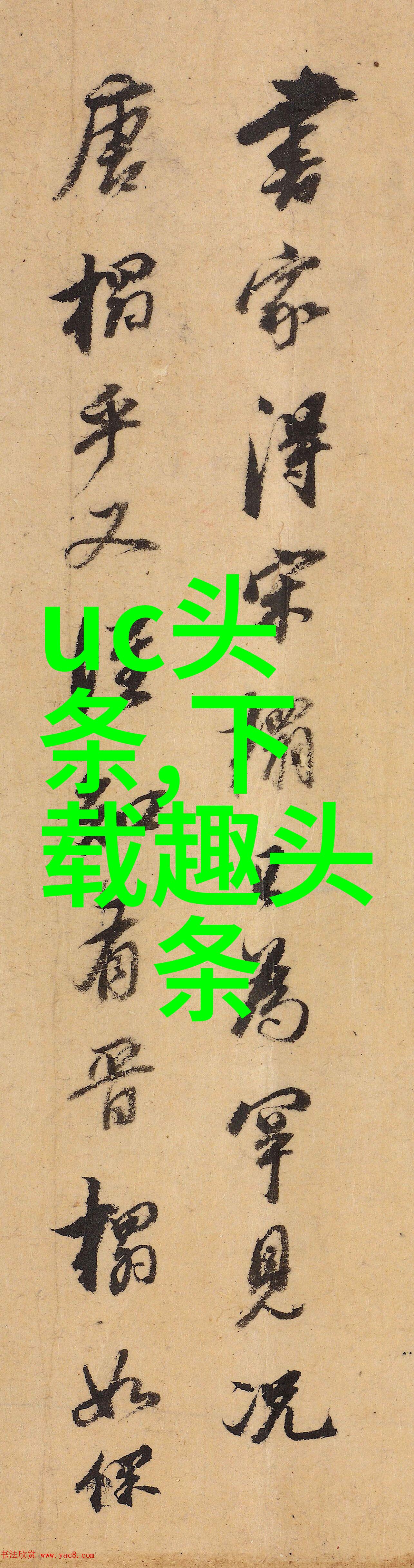 主播雪梨的逆袭之路如何从小城女孩走红网络