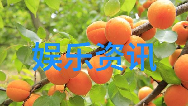地理学 大陆漂移说内容和证据 从板块构造到海底火山链的探索