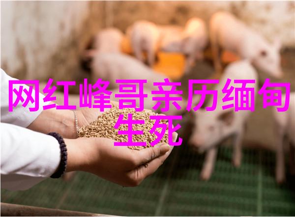 从零到英雄搭建自己的图片来源检测平台指南