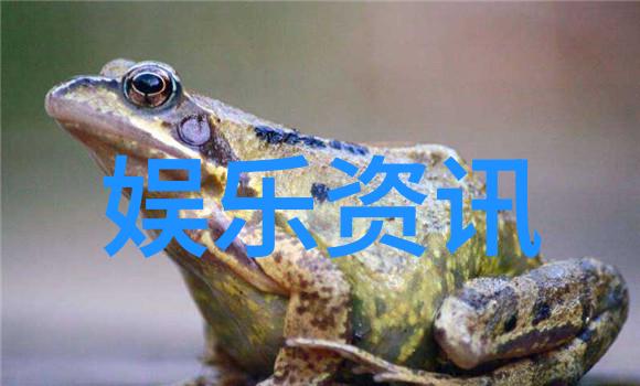 声音画面情感共鸣剖析为什么这些歌曲成为抖音用户喜爱的对象