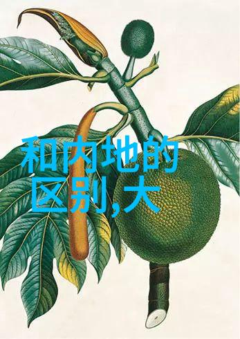 婚巢爱的异界