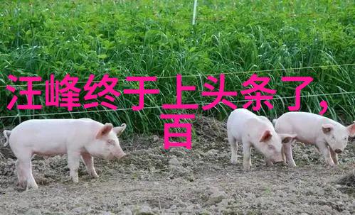 无心法师电视剧角色深情的魔法与孤独的心灵