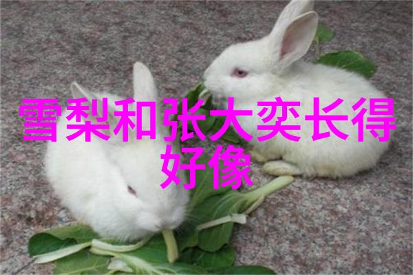 娱乐盛世最佳娱乐时代的绚烂画面