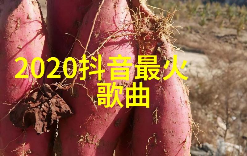 肖战的瞬间穿越写真中的光影与情感