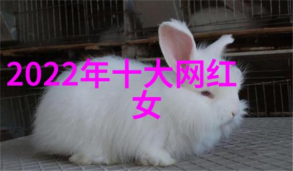时尚宾馆装修效果图探索现代设计与舒适生活的完美融合