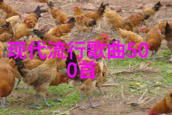 在科技与魔法的交织中寻找真相左耳电视剧深度解析