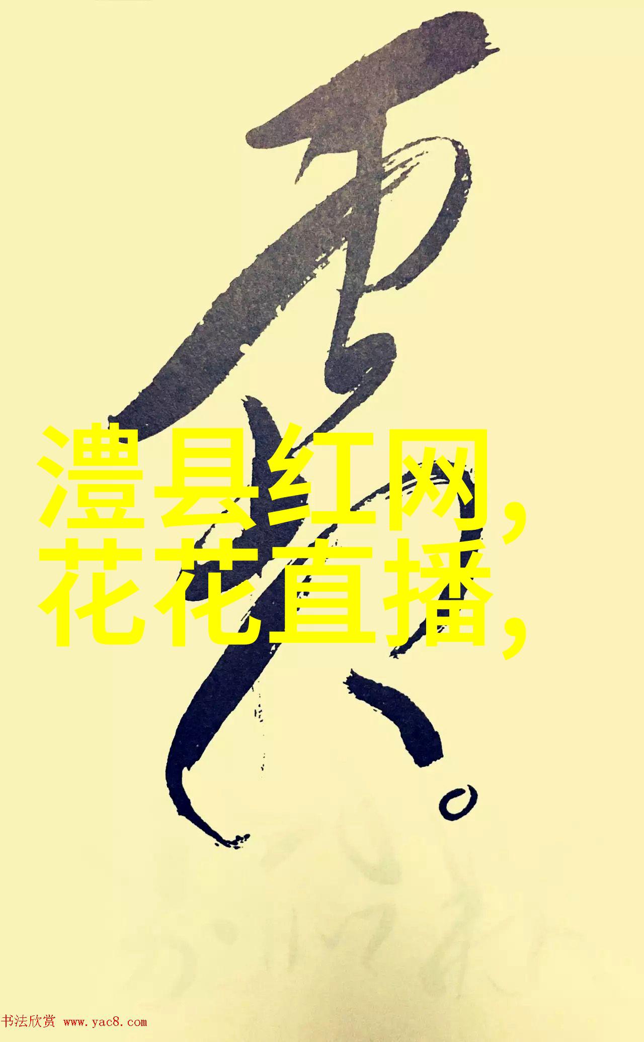 揭秘BCI技术3分钟视频解读标准与应用