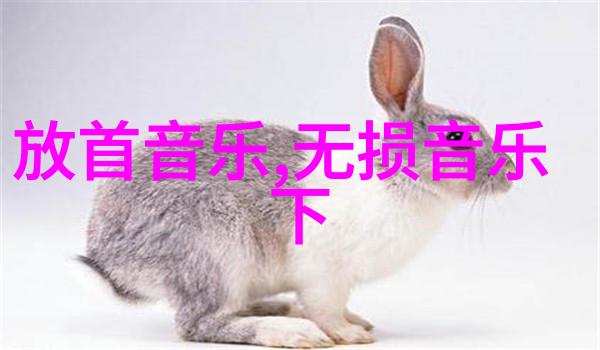 夏伯渝明灯照耀前行太快了啊哈哈原炀头条文章带领我们揭秘班主任的全新计划