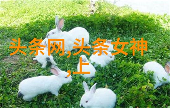 2009电视剧我那年轻的辣妈回忆2009年的那些经典剧集