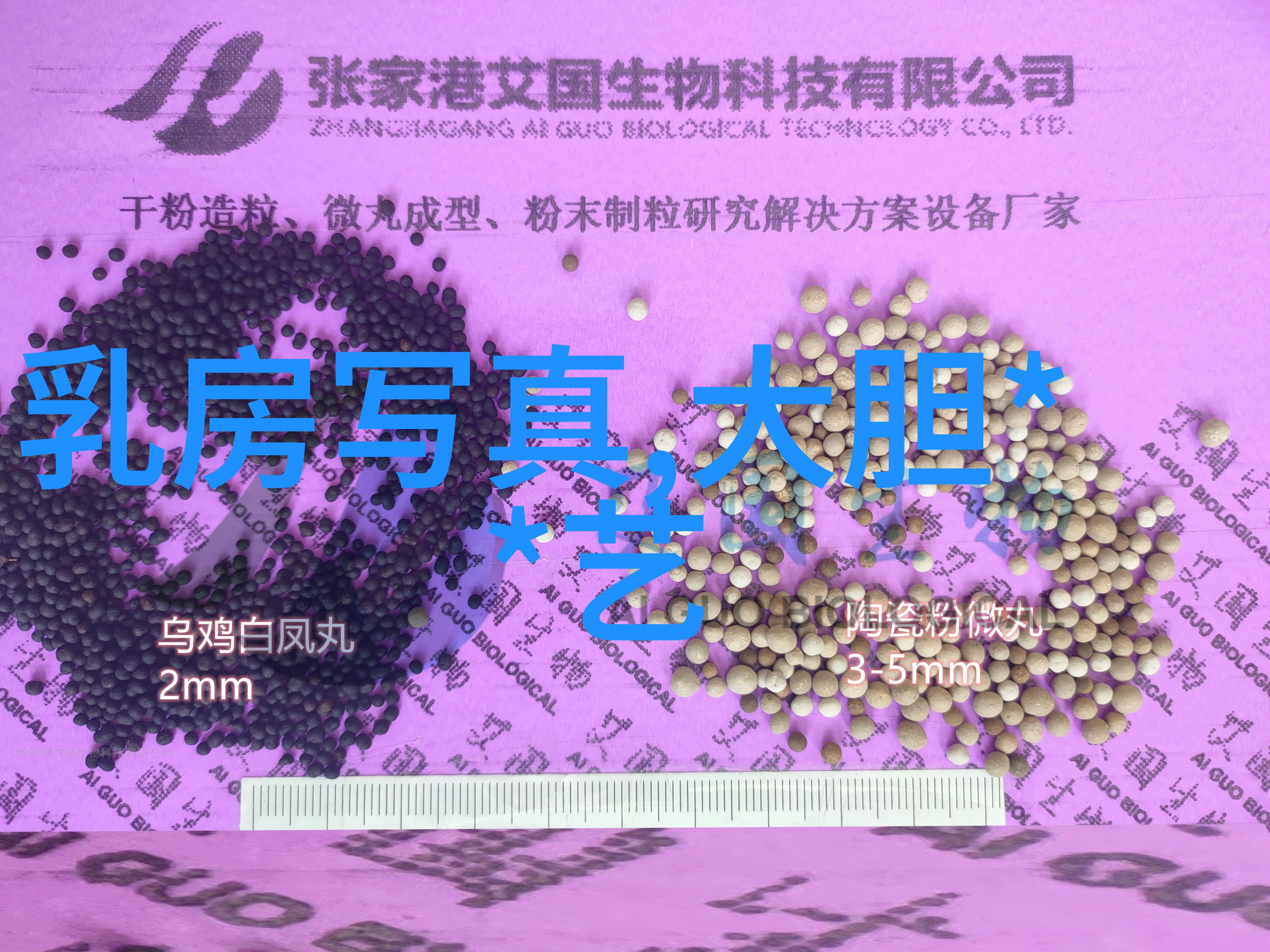解析后天八卦运用技巧提升命理预测能力