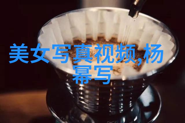 新西游记综艺探险冒险旅行文化交流