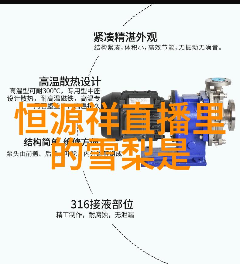 大陆集团背后的秘密与未知的征程