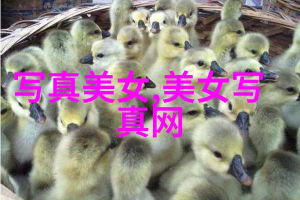 新闻界的璀璨星辰她是如何成为每日头条的