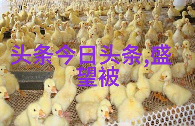 天天影视亲测那些网红小剧场让人爱不释手的理由