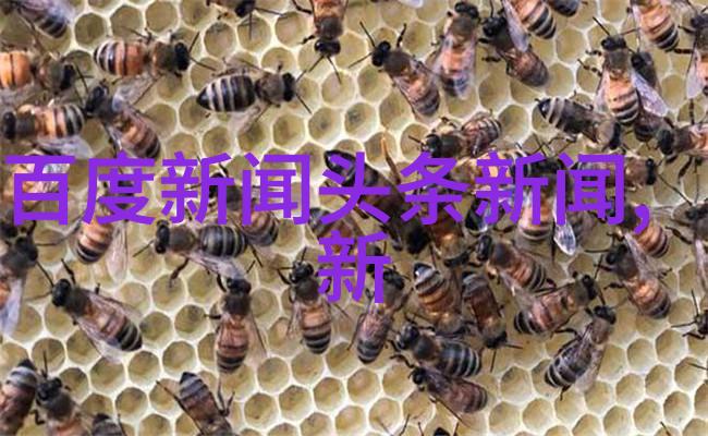 网名简单气质女生简约长网名之选