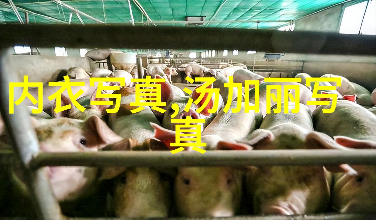 中国高铁列车票务系统全景图集