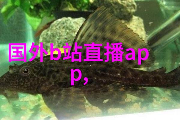 时尚运动的牛仔裤三招让你气质翻倍