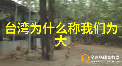 张筱雨写真展览不仅美丽更有深度与哲思
