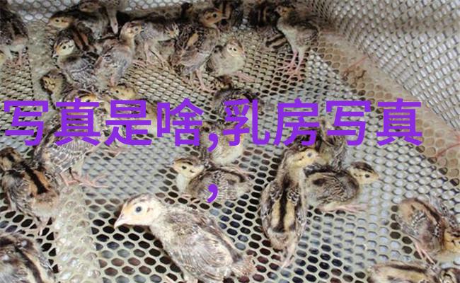 人民的名义豆瓣评分下降 网友指责正午阳光过度营销梅花红桃电视剧免费观看完整版引人关注