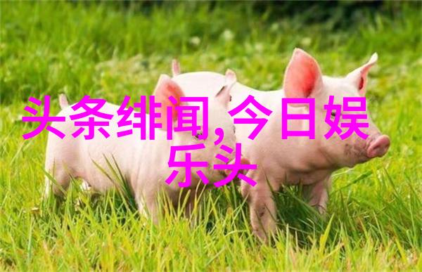 今夕何夕反思与前行