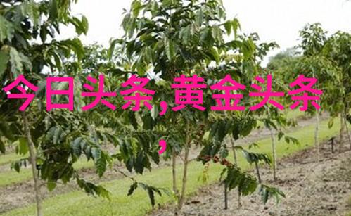 qq网名男生霸气红杏外墙霸道等你