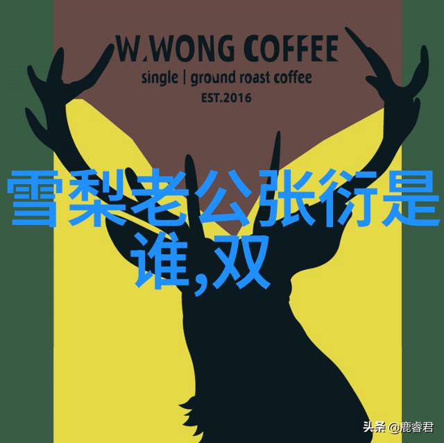 从失恋到闪耀娱乐圈的意外风云儿