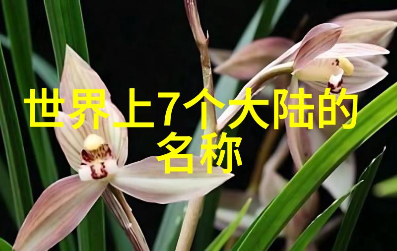 刘亦菲写真东方美少女的纯净笑容