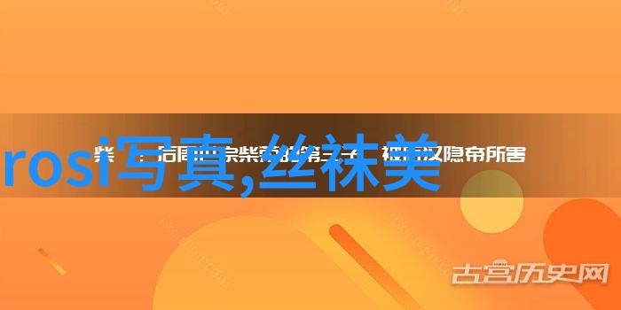 流沙时光今日头条极速版的数字足迹