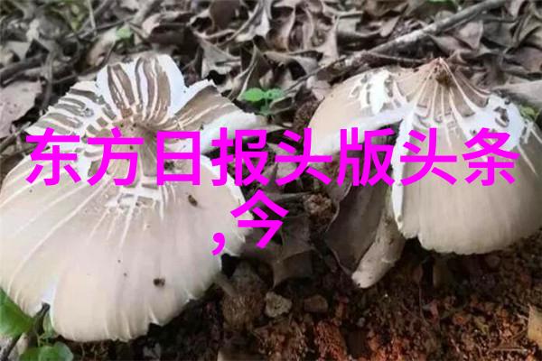 技术创新-百度扫一扫识别图片图像智能解锁新时代