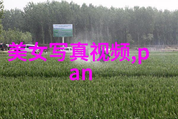 中国内地之光央视跨年盛典共筑人文情怀与黄岩智造的辉煌