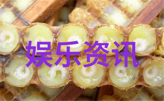 跨海对话与心灵相连台湾现在和大陆关系的新篇章