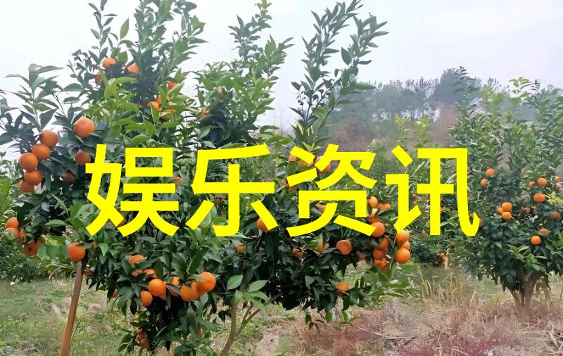 情侣图片-爱恋瞬间情侣照片中的甜蜜时刻