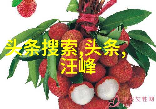 影星光环背后的暗夜