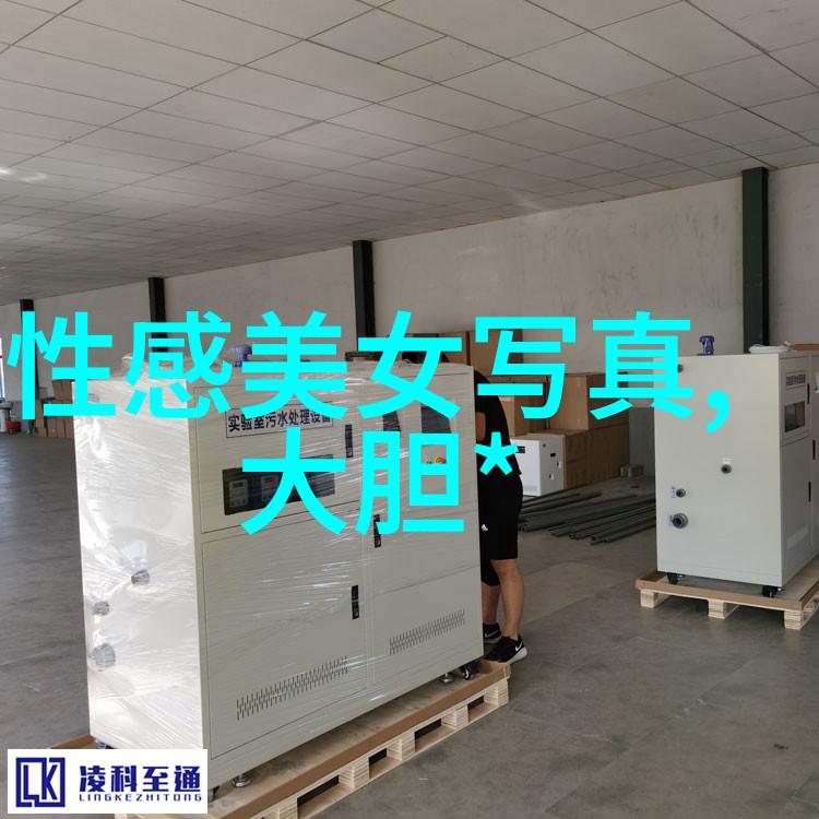 台湾当代社会现状繁荣与挑战共存