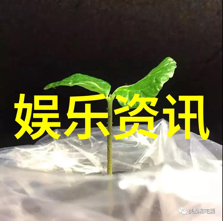 汪峰终于上头条了他的音乐会引发了哪些社会讨论