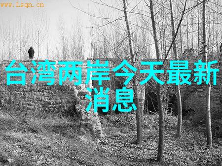 最佳免费音乐下载软件之选探索你的音频世界
