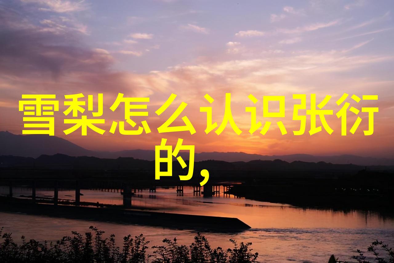 17313数字密码背后的故事与文化意义探究
