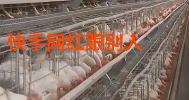 影视舞台上的青春岁月内地男演员的成长