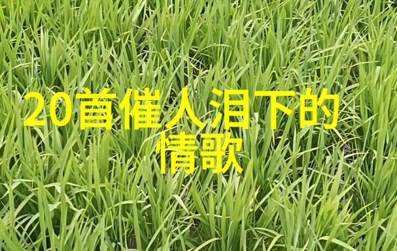 台湾省受大陆管制吗中影文创影视文化有限公司映客银河联盟与直播红利年携手共创辉煌新篇章