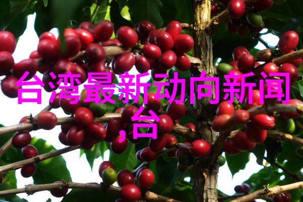正大综艺盛宴正大娱乐界的最大现场活动