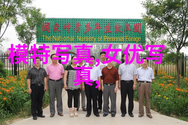 在雨幕中漫步心情如同滋润大地的细雨平静而深沉