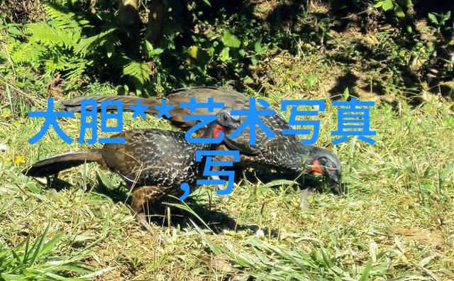 今日头条最新消息-揭秘AI时代下的新闻消费今日头条如何利用算法塑造你的阅读体验