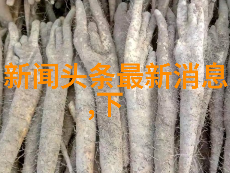 佳期如梦番外揭秘缘分与命运的交织